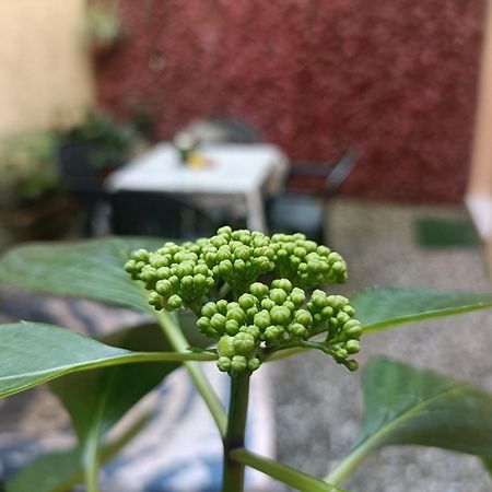 Il Giardino Segreto Διαμέρισμα Λούκα Εξωτερικό φωτογραφία