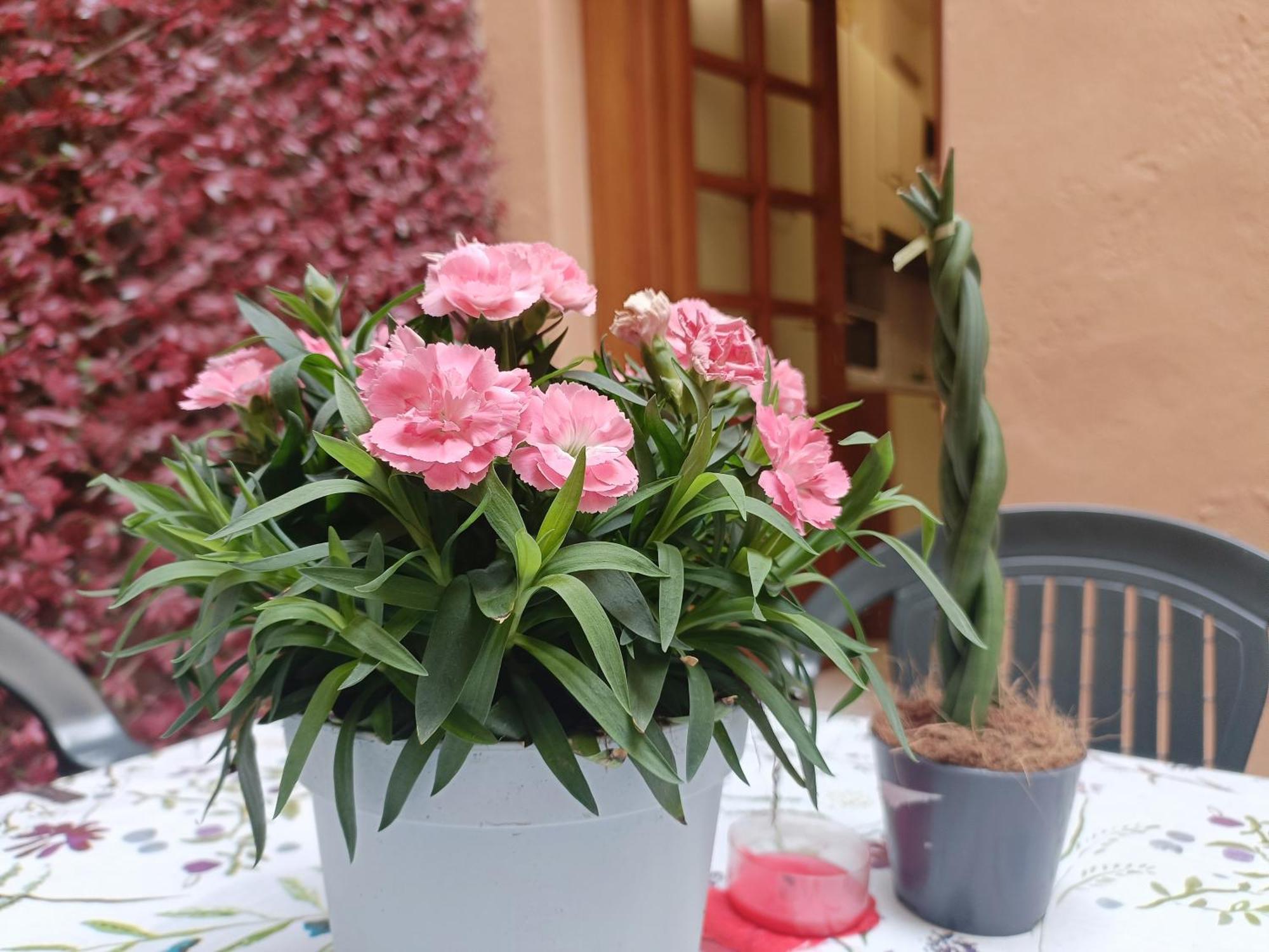 Il Giardino Segreto Διαμέρισμα Λούκα Εξωτερικό φωτογραφία