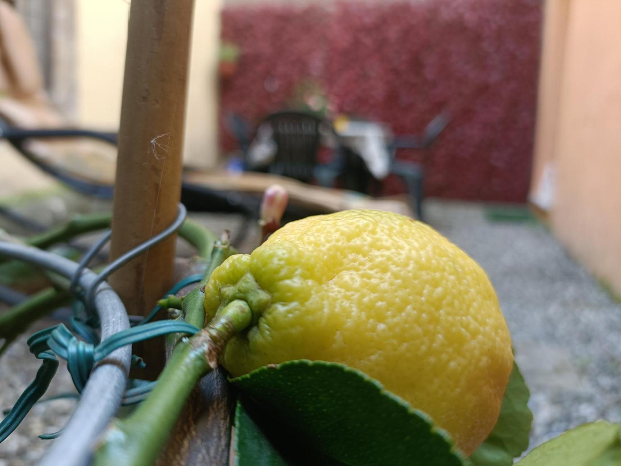 Il Giardino Segreto Διαμέρισμα Λούκα Εξωτερικό φωτογραφία